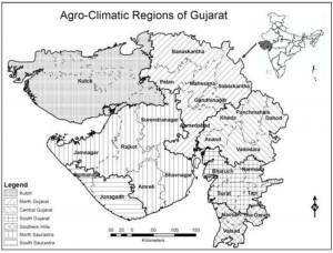 Cropping Pattern of Gujarat