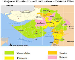 Horticulture sector of Gujarat
