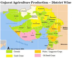 Agriculture of Gujarat